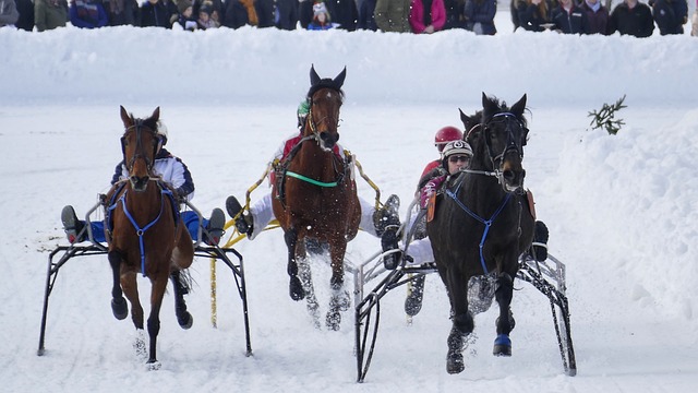 杜兰特受伤！太阳遭遇惨败39分.