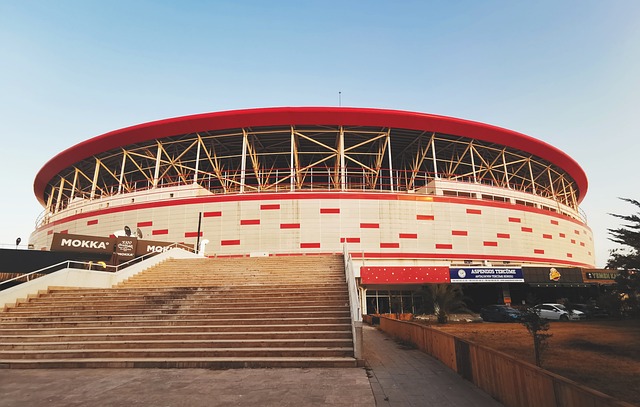 足球——亚冠精英联赛：上海申花无缘八强.